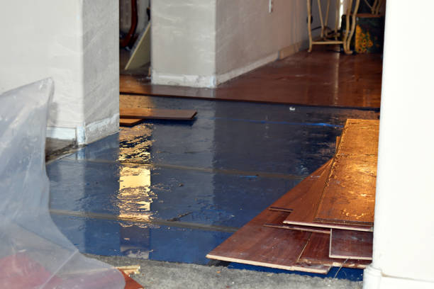 Professional Sewage Cleanup technician working in Chesaning, MI